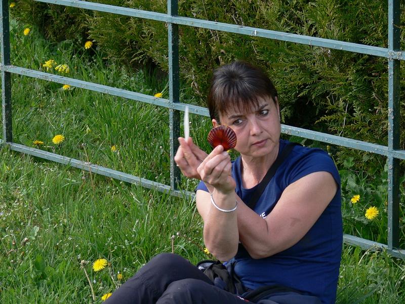 Mont Saint Michel 2010 - 139.jpg